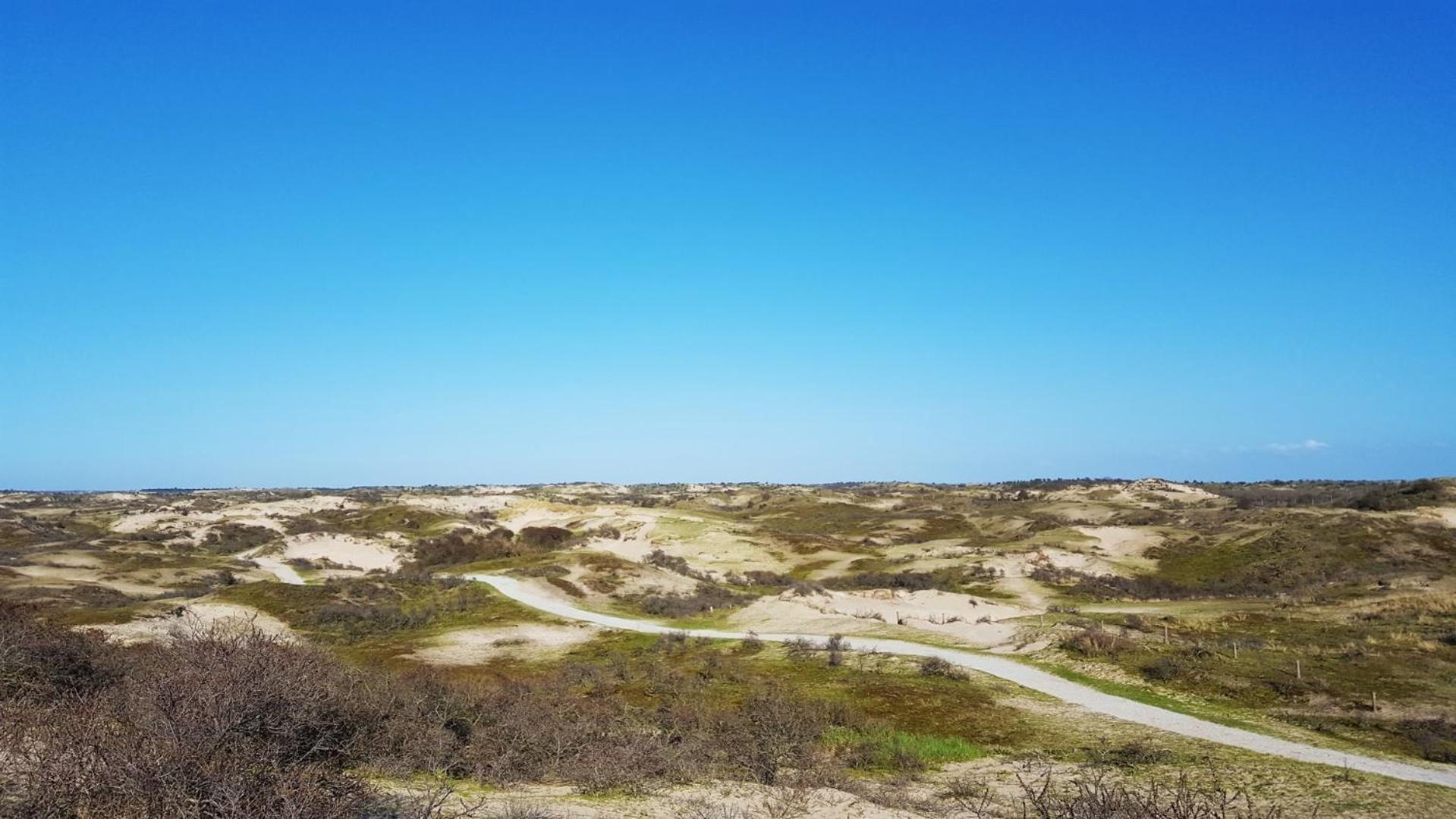 Bamboe Suite Bentveld Met Ligbad En Gratis Parkeren Esterno foto